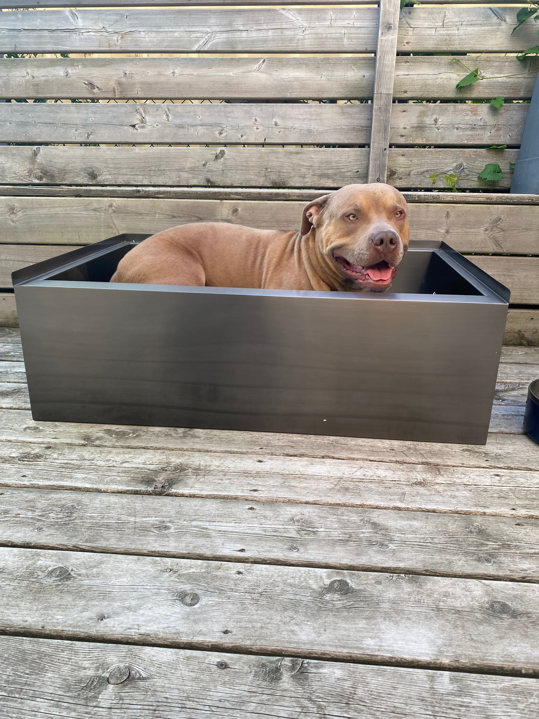 Black Grey Gun-Pet Dog bath tub mudroom washing station 16 gauge commercial grade stainless steel