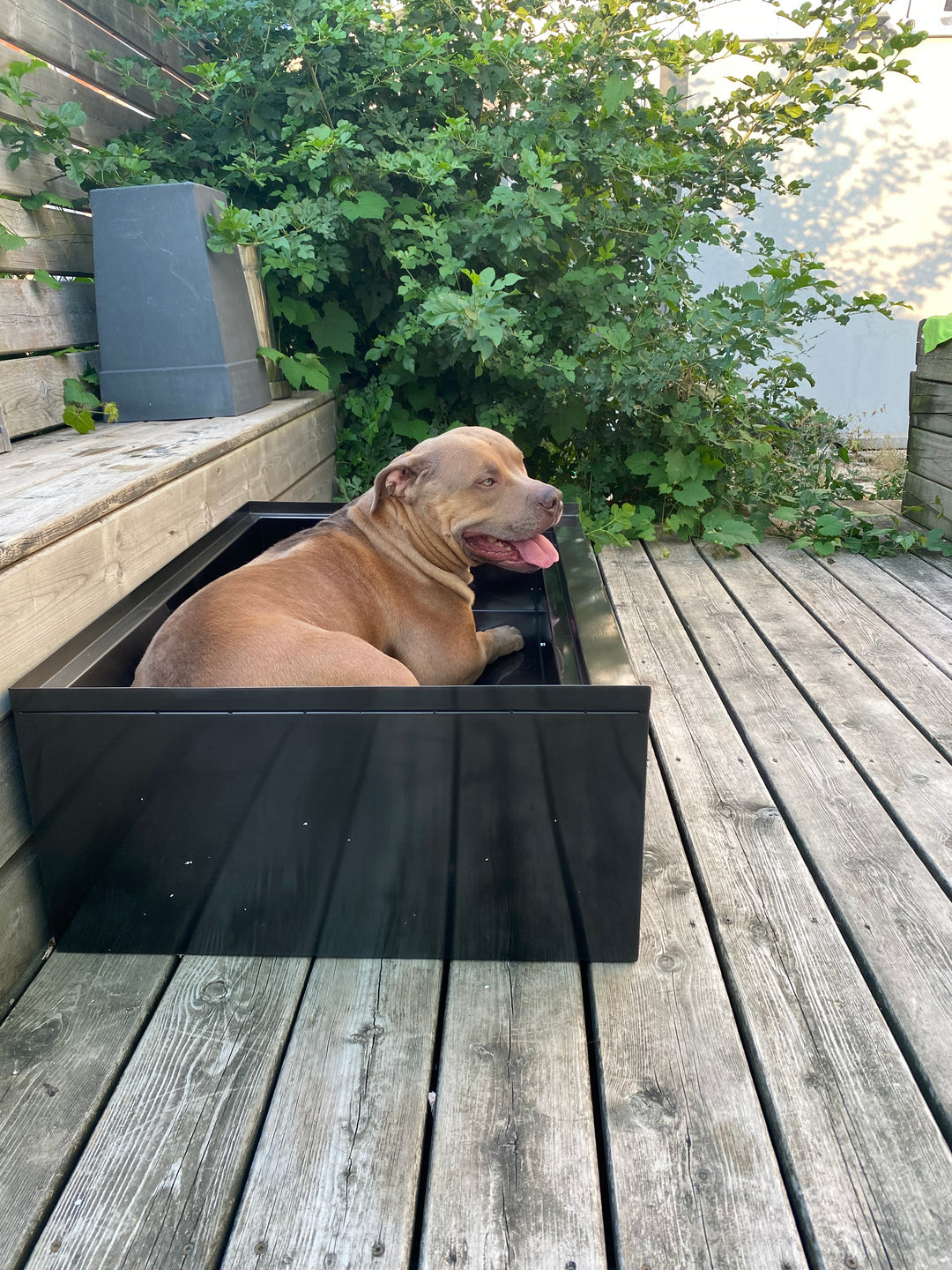 Black Grey Gun-Pet Dog bath tub mudroom washing station 16 gauge commercial grade stainless steel