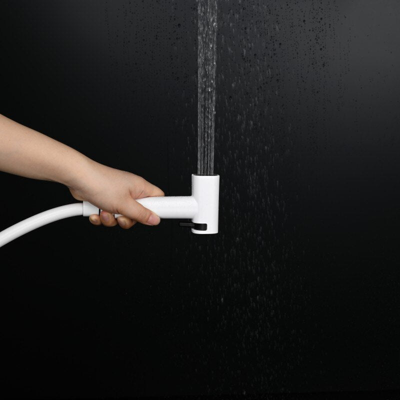 2-1 Wall Mounted Bidet hand Held Sprayer hot and cold mixer with toilet Iphone paper holder