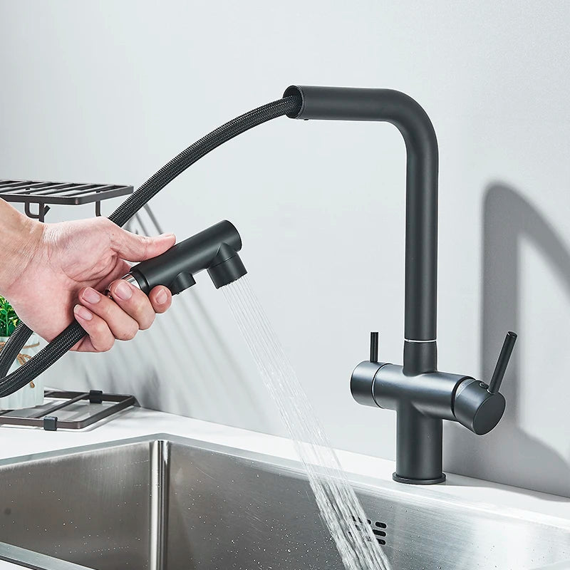 Saigon-Filter Kitchen Faucet Dual Handles Deck Mounted Pull Out Mixer Tap 360 Degree Rotation Water Purification Crane
