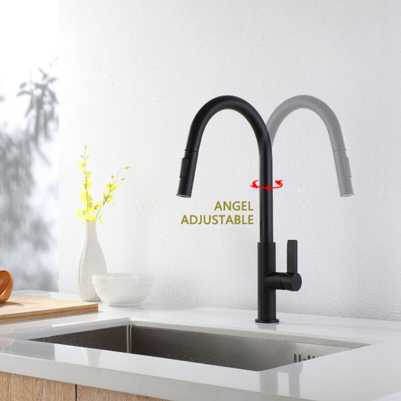 New modern design kitchen faucet dual spray pull out