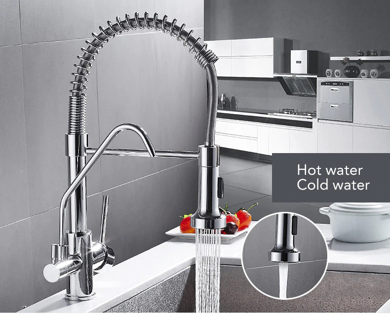 Metropolis-2 Way Kitchen Faucet Dual Spray Pull Out Industrial Chef & Reverse Osmosis Water Filter Faucet