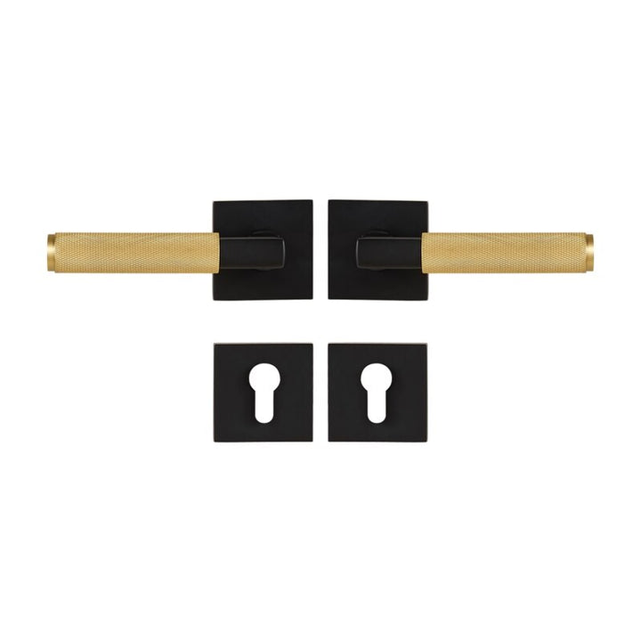 Brushed gold with black two tone interior door lock hardware kit