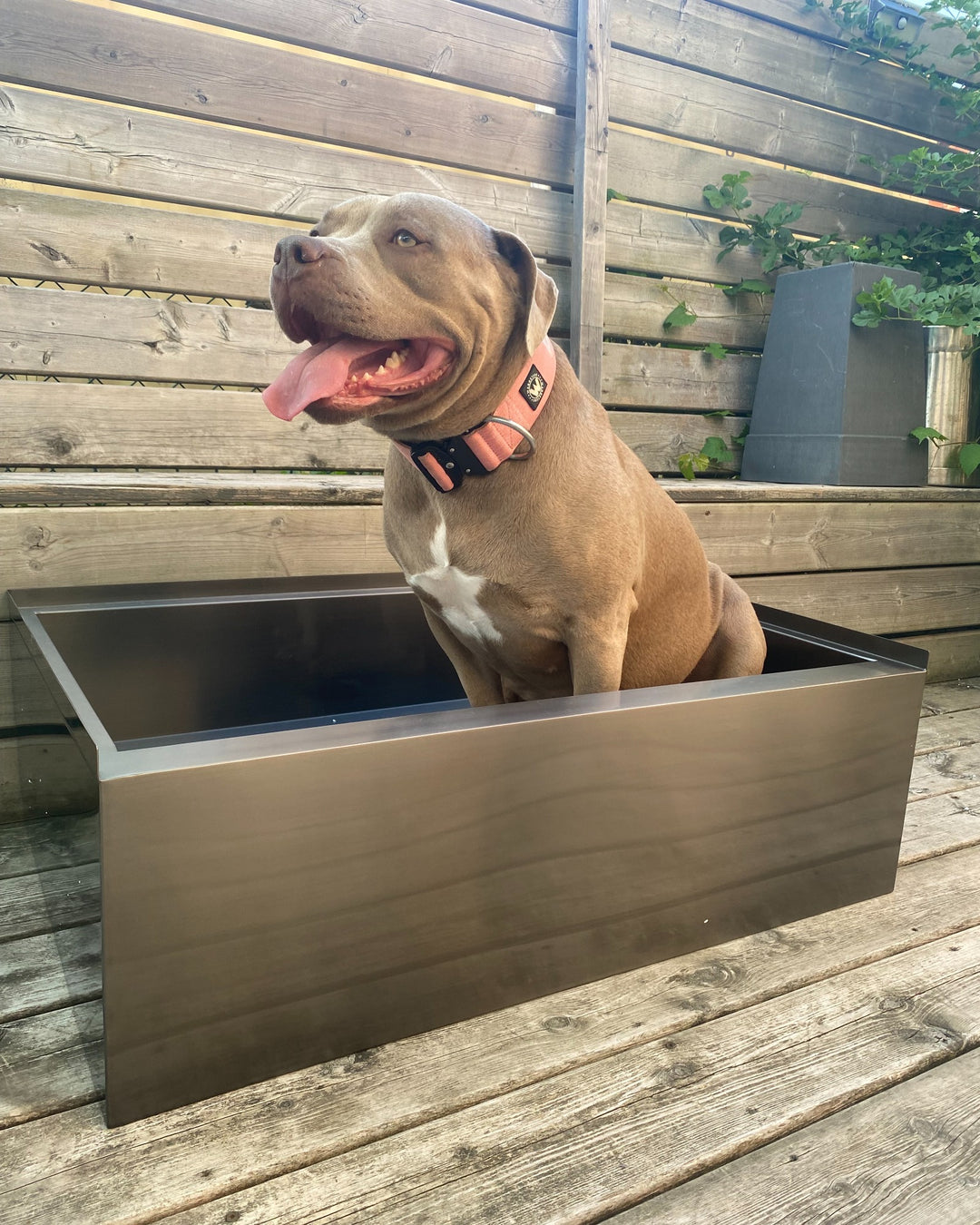 Black Grey Gun-Pet Dog Artisan made bathtub mudroom washing station 16 gauge commercial grade stainless steel