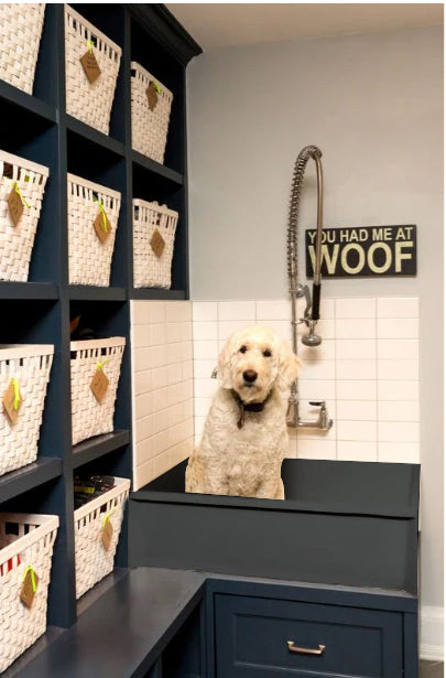 Dog bath tub mudroom washing station 16 gauge commercial grade stainless steel