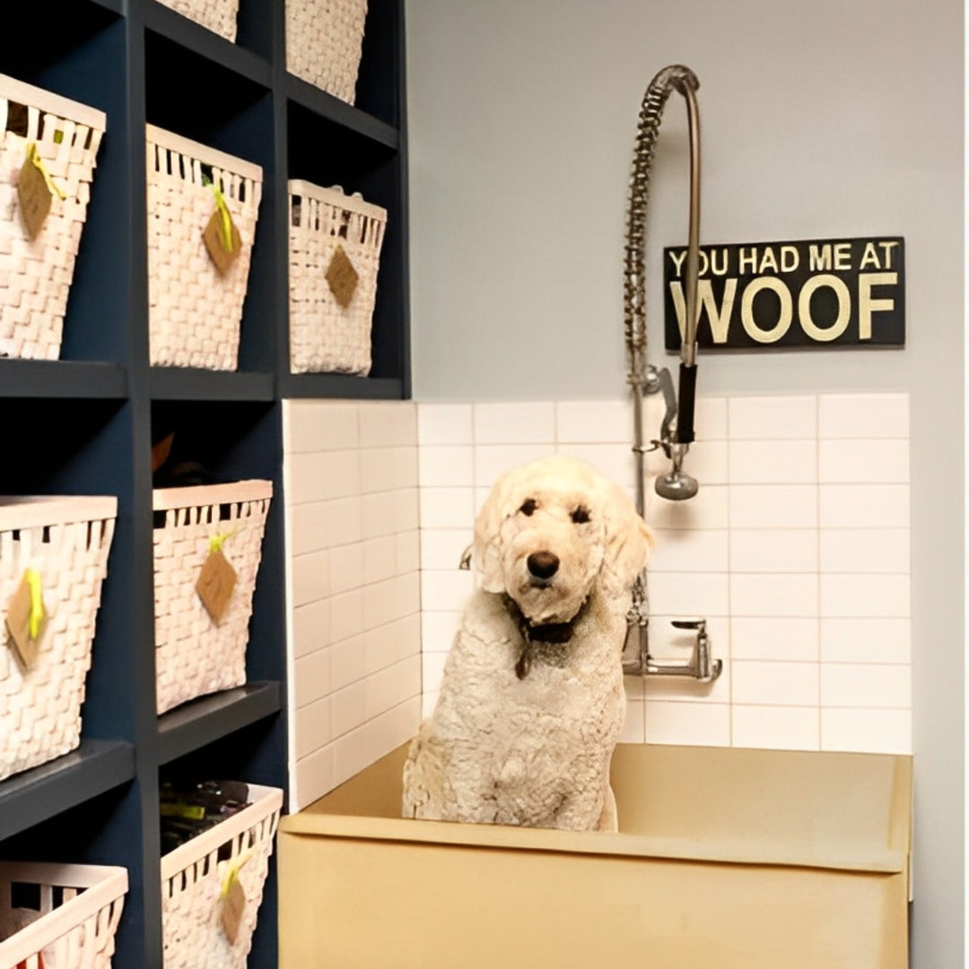 Brushed Gold Dog bath tub mudroom washing station 16 gauge commercial grade stainless steel