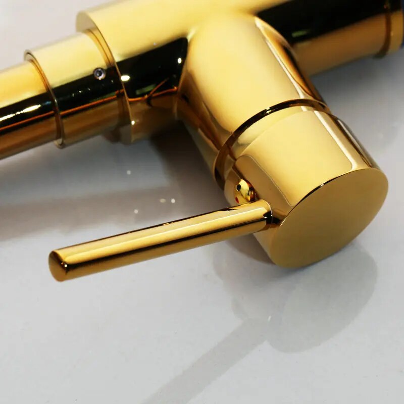 Gold polished brass modern kitchen faucet pull out dual sprayer