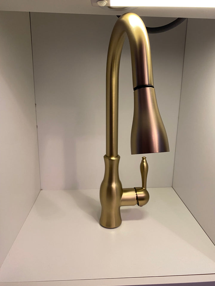 Florina-Transitional Design Pull Out Dual Mode Sprayer Kitchen Faucet