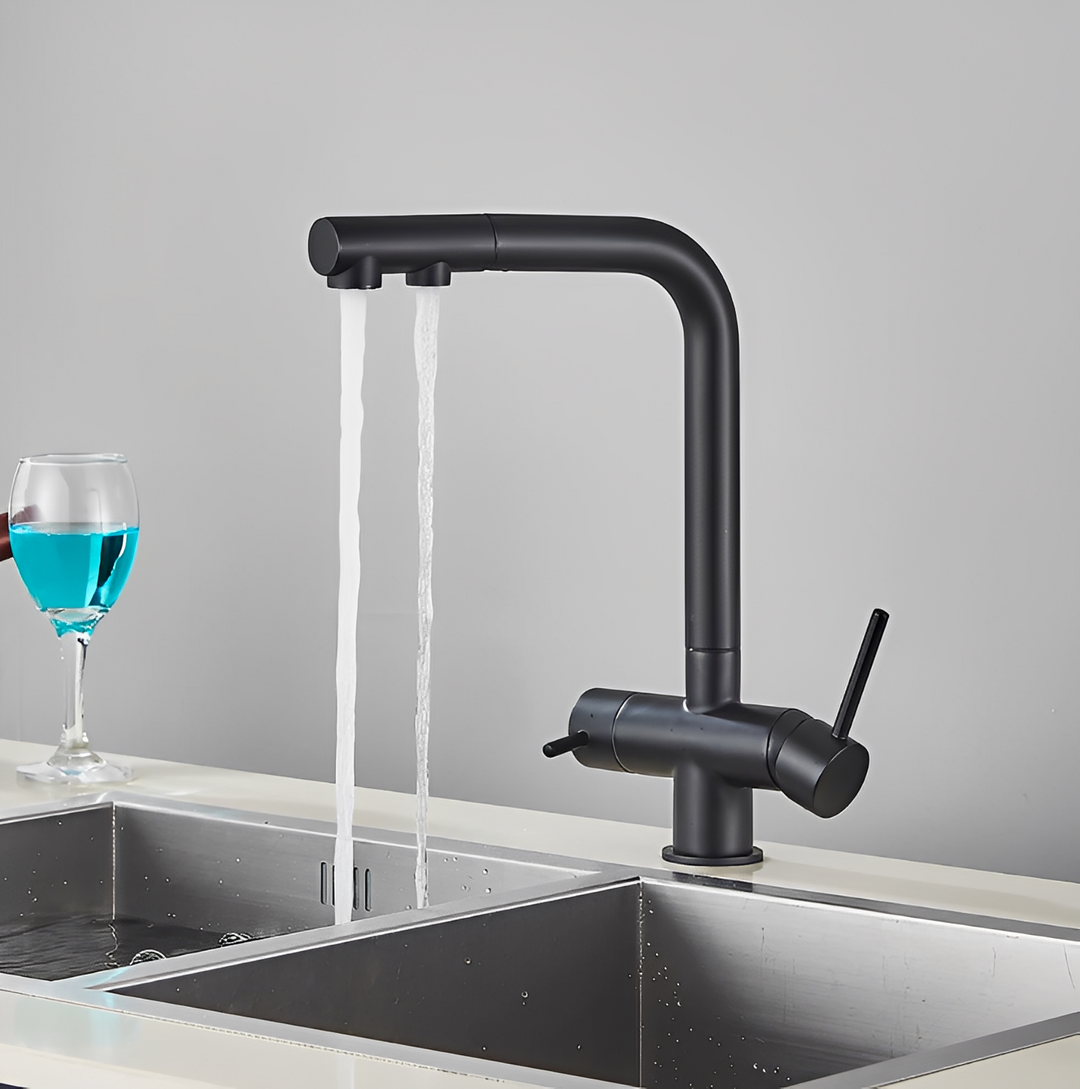 Norway-2 Way Dual function Kitchen and Reverse Osmosis water filter with pull out spray faucet