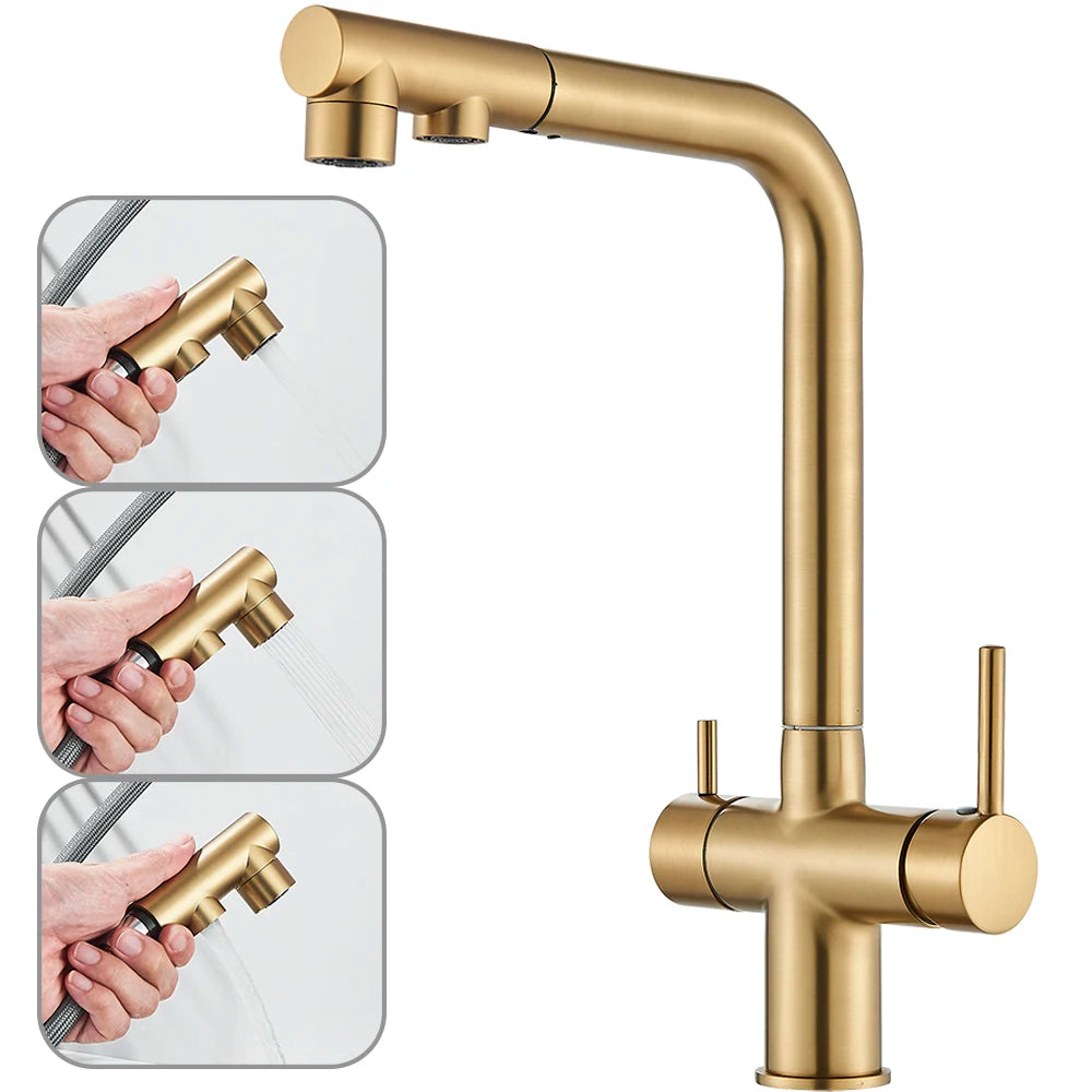 NORWAY 3-Filtered Kitchen Sink Faucet with Pull Down Sprayer 2 Handle 3 in 1 Water Filter Purifier Faucet Dual Sprayer Drinking Water Tap