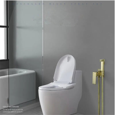 Dubai-Brushed gold- Rose gold-Black-Gold Hot and Cold water mixer wall mounted single lever hand held bidet