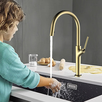 Extacy- New 2024 modern design pull out dual sprayer kitchen faucet