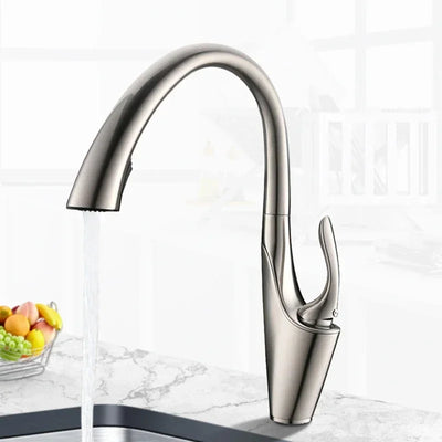 Black with brushed nickel pull out dual sprayer kitchen faucet