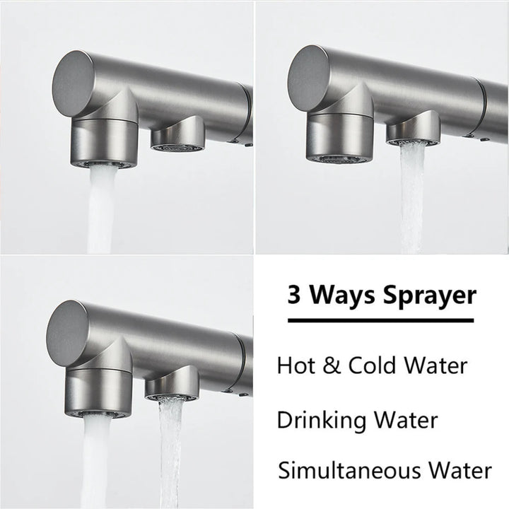 NORWAY 3-Filtered Kitchen Sink Faucet with Pull Down Sprayer 2 Handle 3 in 1 Water Filter Purifier Faucet Dual Sprayer Drinking Water Tap