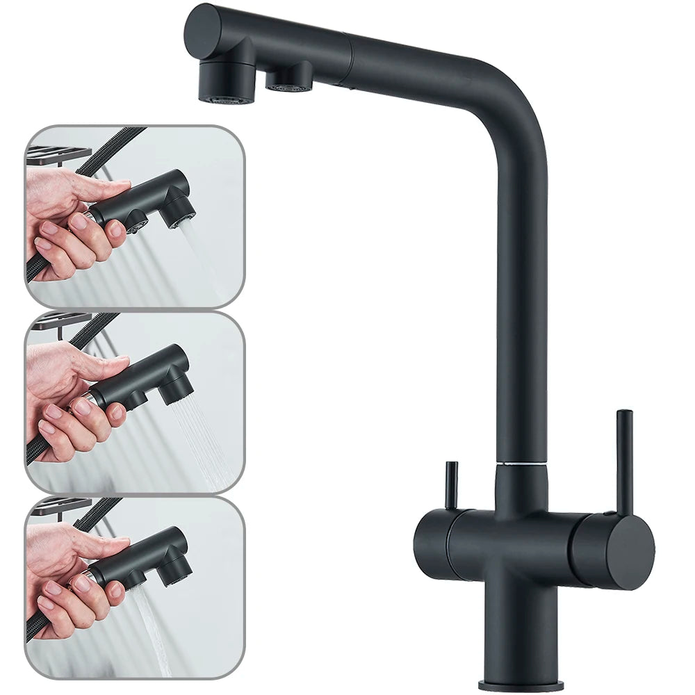 NORWAY 3-Filtered Kitchen Sink Faucet with Pull Down Sprayer 2 Handle 3 in 1 Water Filter Purifier Faucet Dual Sprayer Drinking Water Tap
