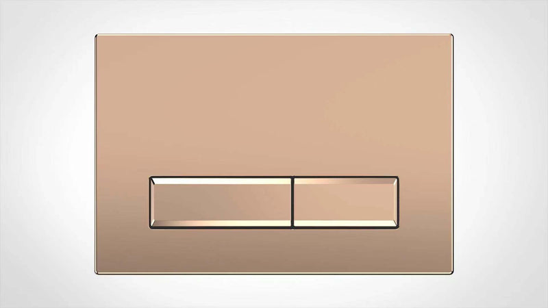 Rose Gold/ Black- Dual Flush Cistern Wall Mounted Toilet Button Panel