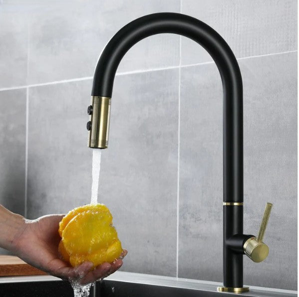 Black with brushed gold kitchen faucet dual pull out sprayer