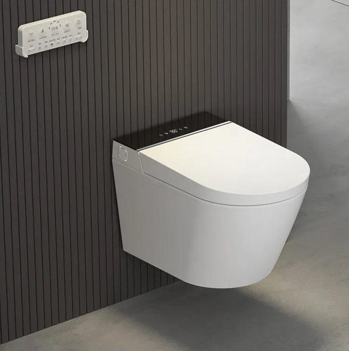 Sani Canada wall hung smart washlet bidet toilet bowl  -YCD19G