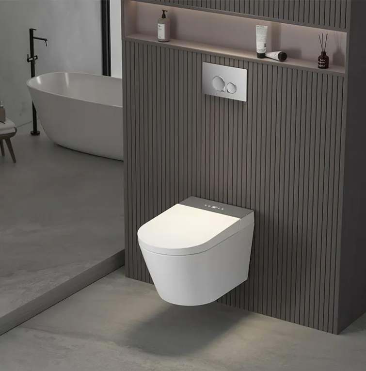 Sani Canada wall hung smart washlet bidet toilet bowl  -YCD19G