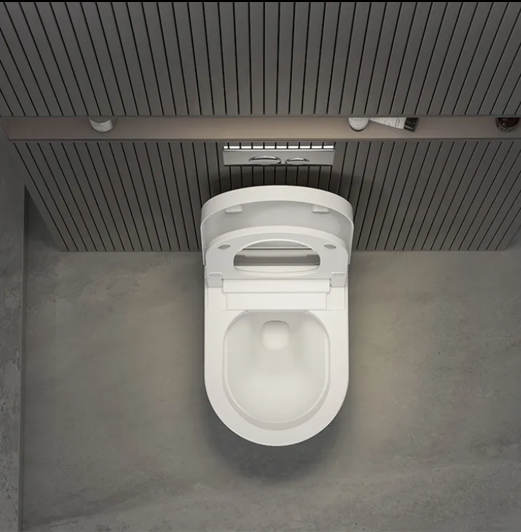 Sani Canada wall hung smart washlet bidet toilet bowl  -YCD19G