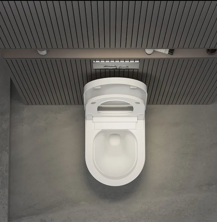 Sani Canada wall hung smart washlet bidet toilet bowl  -YCD19G