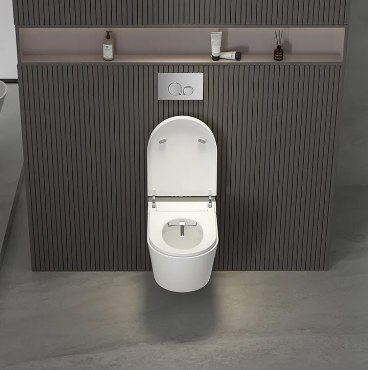 Sani Canada wall hung smart washlet bidet toilet bowl  -YCD19G