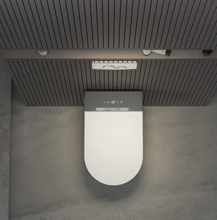 Sani Canada wall hung smart washlet bidet toilet bowl  -YCD19G