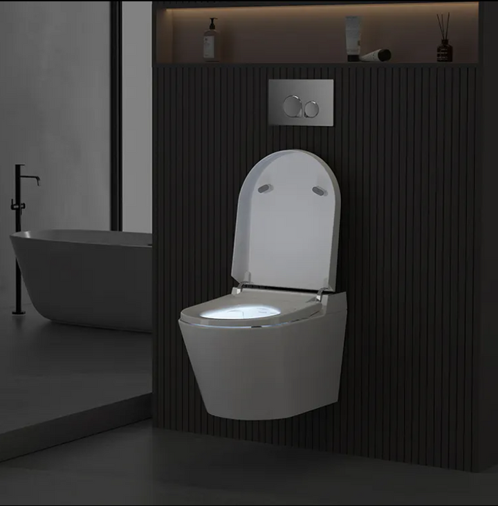 Sani Canada wall hung smart washlet bidet toilet bowl  -YCD19G