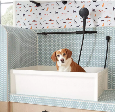 Dog mudroom washing station