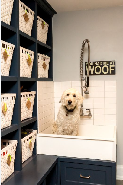 Dog mudroom washing station