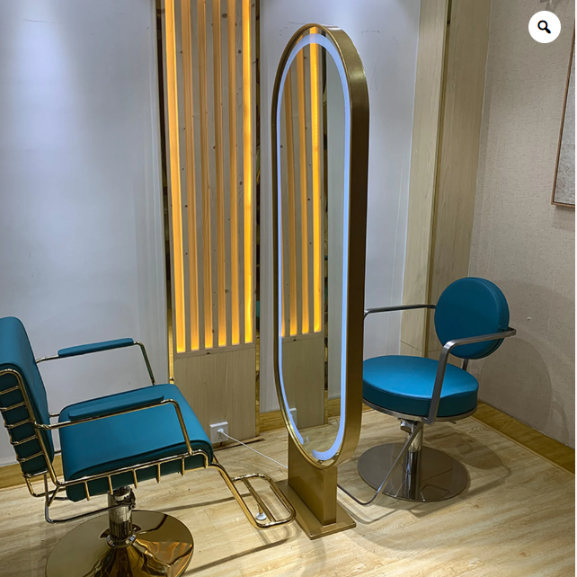 Oval Freestanding Studio hair salon / Gym Brushed Gold LED floor mounted Mirror 24" x 72"
