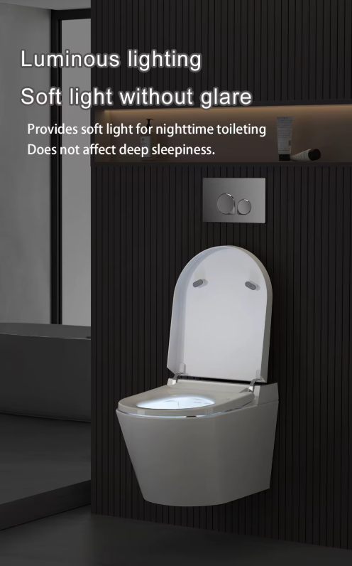 Sani Canada wall hung smart washlet bidet toilet bowl  -YCD19G