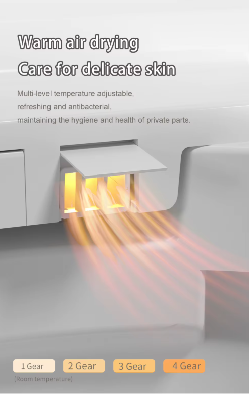 Sani Canada wall hung smart washlet bidet toilet bowl  -YCD19G