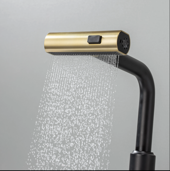 Scorpa - Black with Gold polished Italian design kitchen faucet pull out switch spray