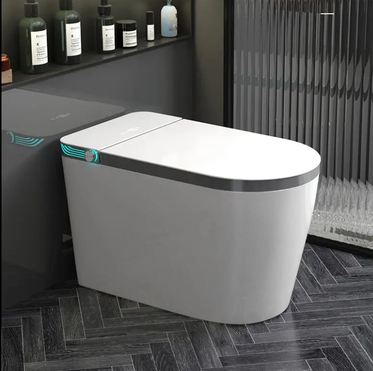 Tron-New White with brushed gold trim intelligent washlet toilet bidet fully loaded