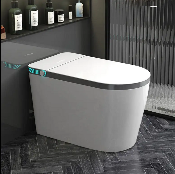 Tron-New White with brushed gold trim intelligent washlet toilet bidet fully loaded