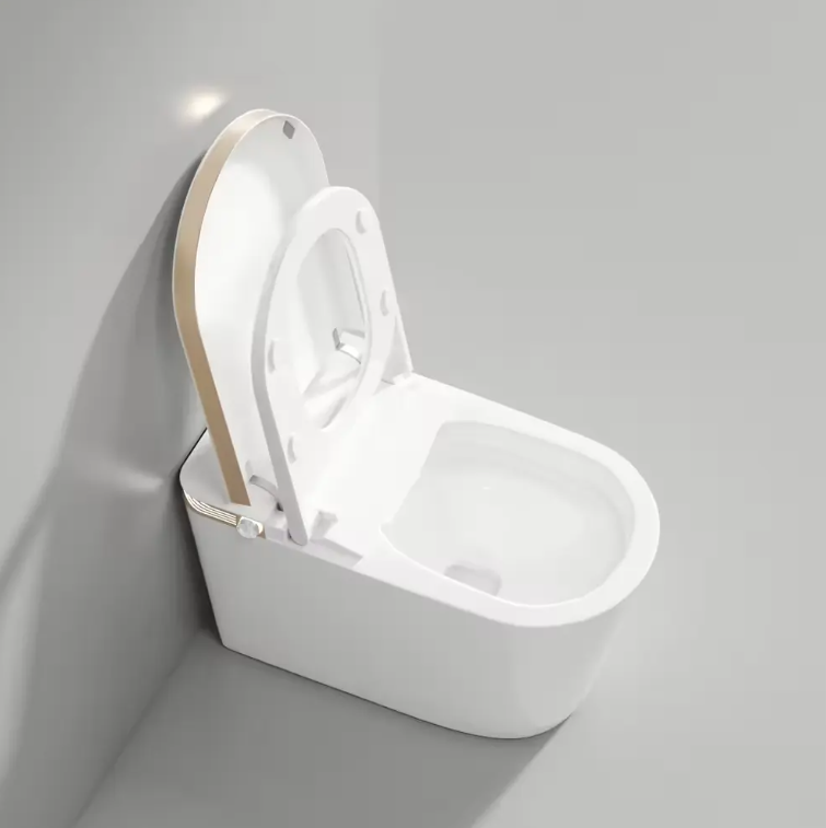 Tron-New White with brushed gold trim intelligent washlet toilet bidet fully loaded