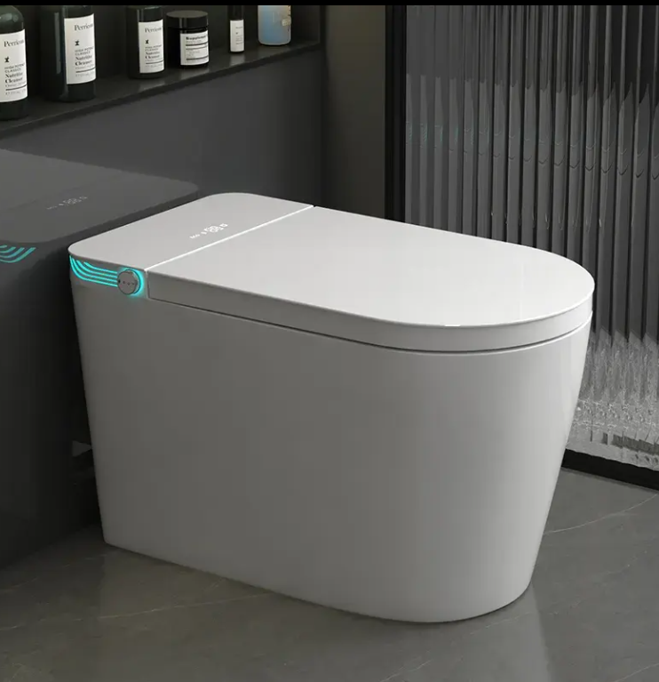 Tron-New White with brushed gold trim intelligent washlet toilet bidet fully loaded