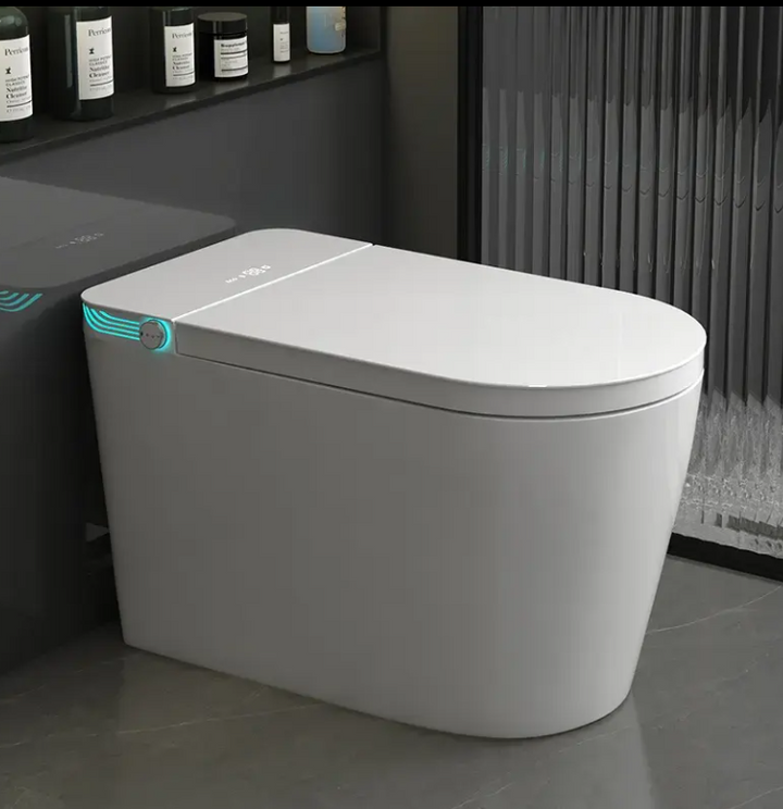 Tron-New White with brushed gold trim intelligent washlet toilet bidet fully loaded