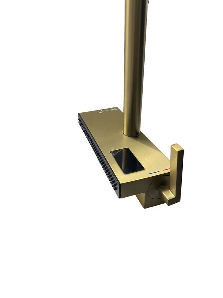 Munich-waterfall kitchen LED display faucet with dual pull out sprayer