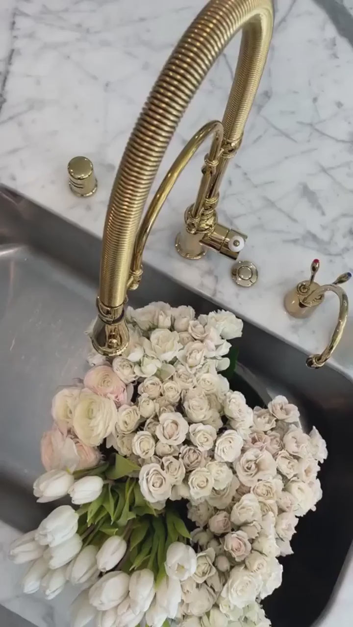 Elisabeth- Victorian Tall Kitchen Island Faucet Dual Pull Our Spayer Mode
