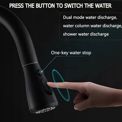Black 2 way kitchen and cold water filter faucet