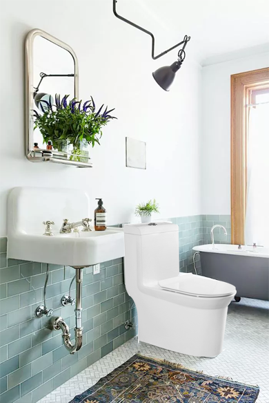 Sani Canada one piece comfort height dual flush toilet 930