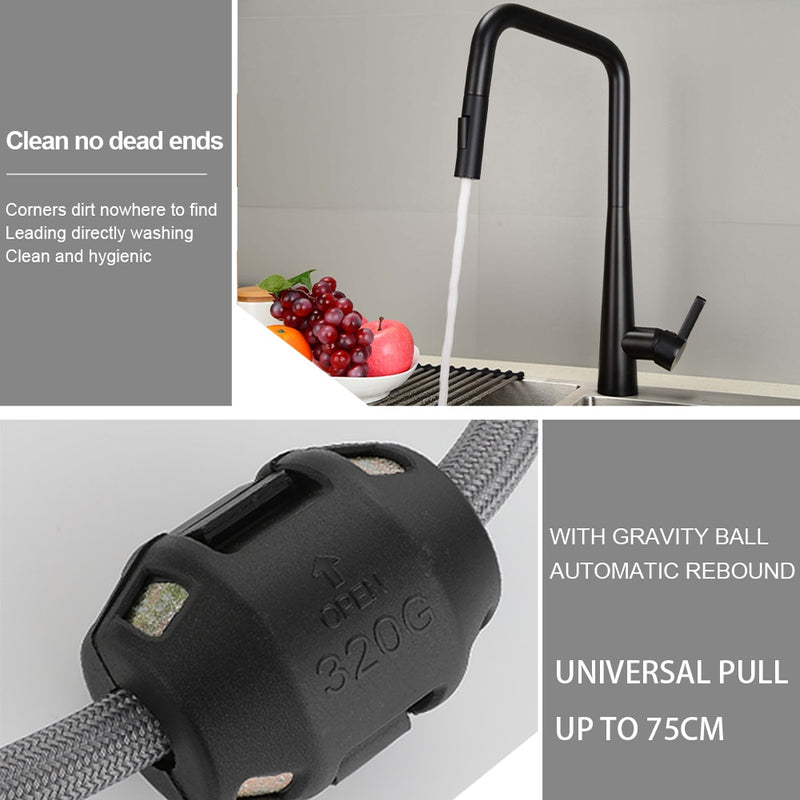 Black Matte Dual Pull Out Sprayer Kitchen Faucet