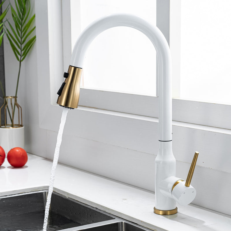Black with brushed gold modern single hole pull out dual sprayer kitchen faucet