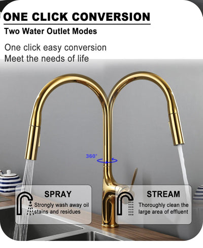 Amsterdam -Polished Rose Gold-White-Brushed Gold- Gold- Black Two Tone  Kitchen Faucet with pull out dual sprayer