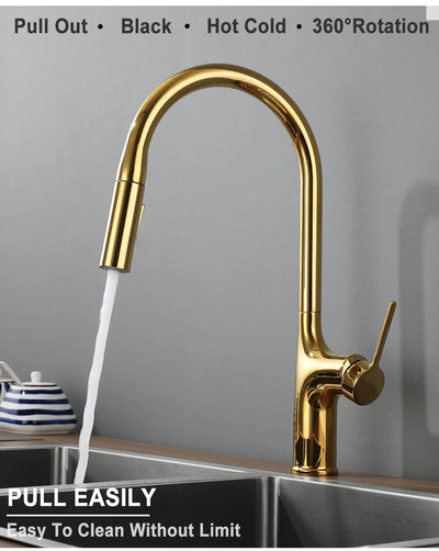 Amsterdam -Polished Rose Gold-White-Brushed Gold- Gold- Black Two Tone  Kitchen Faucet with pull out dual sprayer