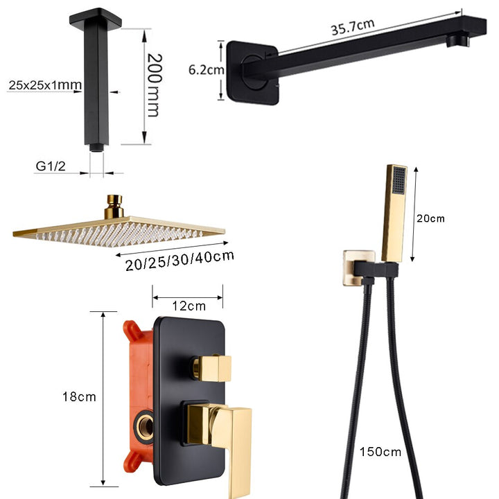 Black with gold polish two tone 2 way function diverter shower kit