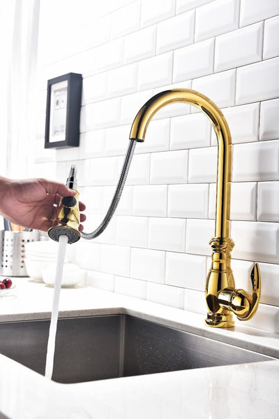 God polish brass treadtional victorian dual pulll ut spray kitchen faucet