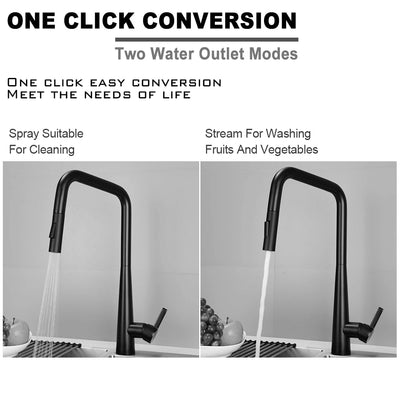 Black Matte Dual Pull Out Sprayer Kitchen Faucet